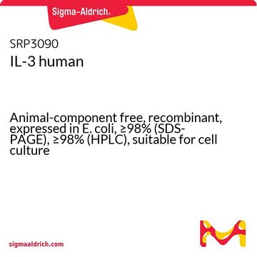 IL-3 ヒト Animal-component free, recombinant, expressed in E. coli, &#8805;98% (SDS-PAGE), &#8805;98% (HPLC), suitable for cell culture