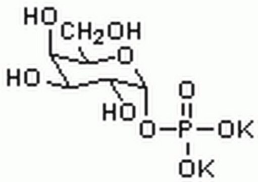 &#945;&#945;-D-Galactose-1-Phosphat, Dikaliumsalz, Pentahydrat