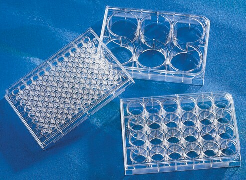 Corning&#174; 96 Well TC-Treated Microplates size 96&#160;wells, polystyrene, flat bottom, case of 100 (individually wrapped), sterile, lid