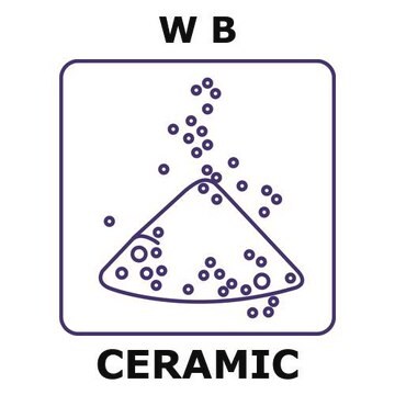 Tungsten boride powder, max. particle size 45 micron, weight 500&#160;g, purity 99%