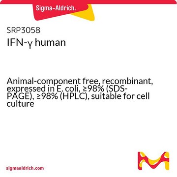 IFN-&#947; ヒト Animal-component free, recombinant, expressed in E. coli, &#8805;98% (SDS-PAGE), &#8805;98% (HPLC), suitable for cell culture