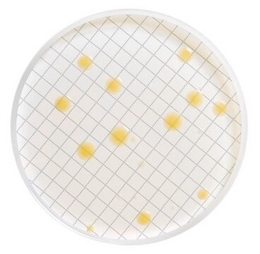 Milliflexカセット Prefilled with Plate Count Agar designed for the recovery of bacteria (aerobic microorganisms)