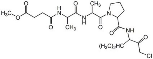 Elastase Inhibitor III The Elastase Inhibitor III controls the biological activity of Elastase. This small molecule/inhibitor is primarily used for Protease Inhibitors applications.