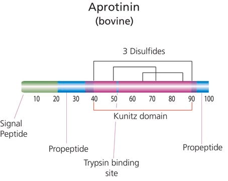 Aprotinin from bovine lung saline solution, 3-7&#160;TIU/mg protein