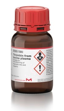 Thrombine from bovine plasma Suitable for manufacturing of diagnostic kits and reagents