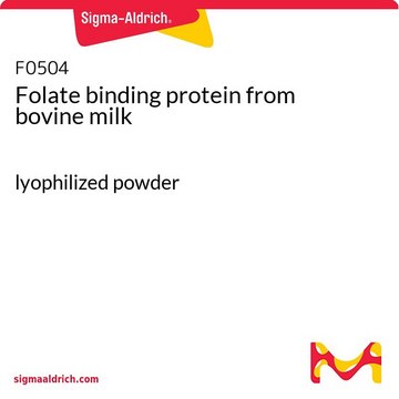 Folatbindendes Protein aus Kuhmilch lyophilized powder