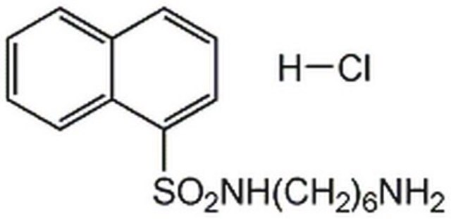 W-5, Hydrochloride A cell-permeable and reversible calmodulin antagonist that inhibits myosin light chain kinase (IC&#8325;&#8320; = 230 &#181;M) and Ca2+-calmodulin-dependent phosphodiesterase (IC&#8325;&#8320; = 240 &#181;M).