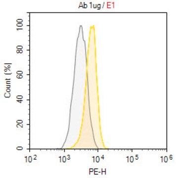 Anti-CD120b/TNFR2 Antibody, clone TR75-89