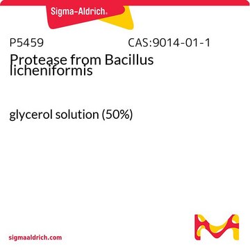 Protease aus Bacillus licheniformis glycerol solution (50%)