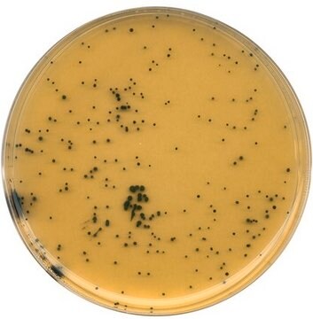 Ágar triptose sulfito cicloserina (TSC) (base) GranuCult&#174; ISO 7937, ISO 14189, APHA, suitable for microbiology