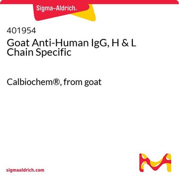 Schwer- und leichtkettenspezifischer Ziegen-Anti-Human-IgG-Antikörper Calbiochem&#174;, from goat