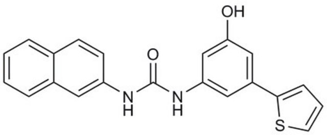 Inhibitor sygnalizacji Wnt-β-kateniny, FzM1