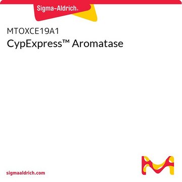 CypExpress&#8482; Aromatase