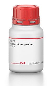 Brain acetone powder bovine