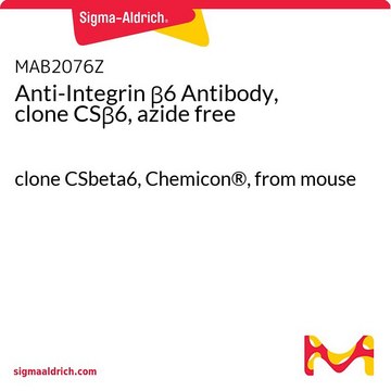 Anticuerpo anti-integrina &#946;6, clon CS&#946;6, sin azida clone CSbeta6, Chemicon&#174;, from mouse