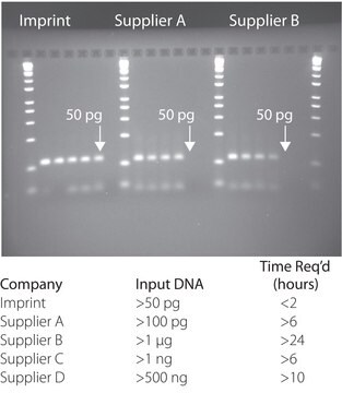 Impressum&#174; DNA-Modifizierungskit For bisulfite DNA conversion &amp; purification