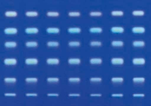 TLC plates, Silica gel 60 RP-2 F₂₅₄ (silanized) 25 Glass plates 20 x 20 cm glass support, fluorometric, pkg of 25&#160;plates, plate L × W 20&#160;cm × 20&#160;cm, suitable for thin layer chromatography (TLC)