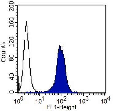 Przeciwciało anty-MCAM, klon P1H12, sprzężone z FITC clone P1H12, Chemicon&#174;, from mouse