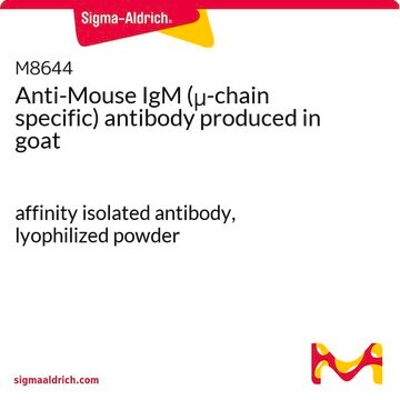 抗マウスIgM (&#956;-鎖特異的) ヤギ宿主抗体 affinity isolated antibody, lyophilized powder