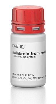 カリクレイン ブタ膵臓由来 &#8805;40&#160;units/mg protein