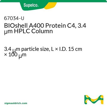 BIOshell A400 Protein C4, 3.4 &#956;m HPLC Column 3.4&#160;&#956;m particle size, L × I.D. 15&#160;cm × 100&#160;&#956;m