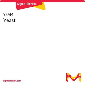 Yeast