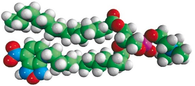 16:0-12:0 NBD PC Avanti Research&#8482; - A Croda Brand 810131C