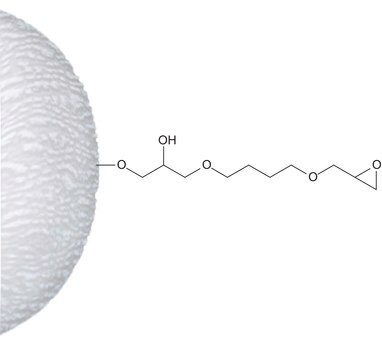 Epoxy-aktivierte Agarose lyophilized powder