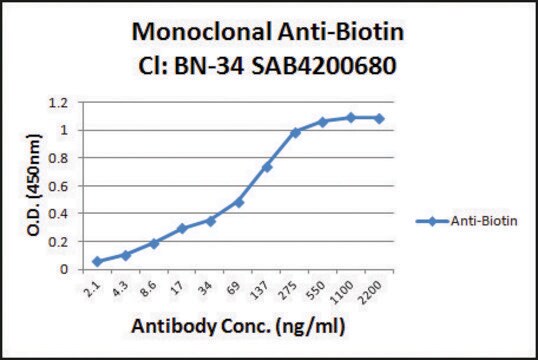 モノクローナル抗ビオチン抗体 マウス宿主抗体 clone BN-34, purified from hybridoma cell culture