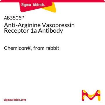 Anti-Arginine Vasopressin Receptor 1a Antibody Chemicon&#174;, from rabbit