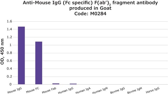 抗マウスIgG(Fc特異的)抗体, F(ab′)2 フラグメント ヤギ宿主抗体 2.0&#160;mg/mL, affinity isolated antibody, buffered aqueous solution