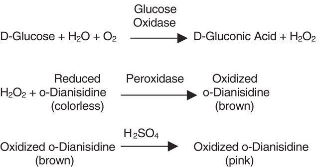 Glucose oxydase from Aspergillus niger Type VII, lyophilized powder, &#8805;100,000&#160;units/g solid (without added oxygen)