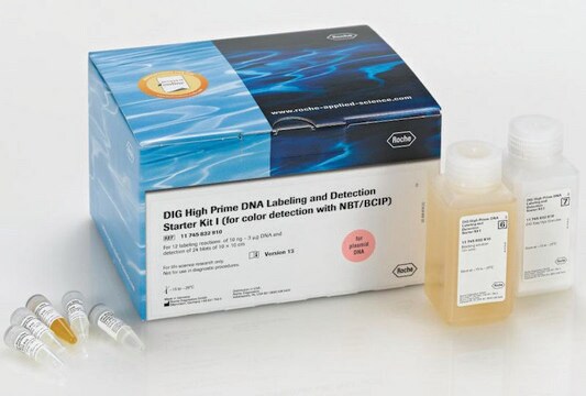 DIG-High Prime DNA-Markierungs- und Detektions-Starterkit I sufficient for 12&#160;labeling reactions, sufficient for 24&#160;blots, suitable for hybridization, suitable for Northern blotting, suitable for Southern blotting