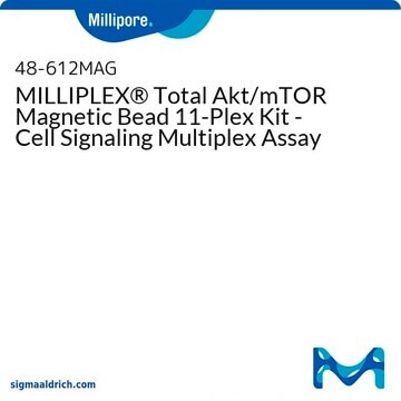 Kit MILLIPLEX&#174; a 11 analiti con sferette magnetiche per le fosfoproteine totali della via Akt/mTOR - Saggio multiplo sulla trasduzione intracellulare del segnale