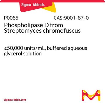 磷脂酶 D 来源于色褐链霉菌 &#8805;50,000&#160;units/mL, buffered aqueous glycerol solution