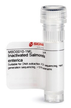 Inaktywowana Salmonella enterica Suitable for DNA extraction, PCR, sequencing, next generation sequencing, &gt;10^8 bacteria/ml