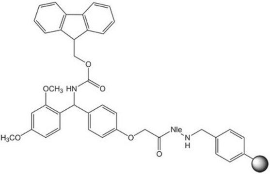 Rink Amide AM树脂（200-400目） Novabiochem&#174;