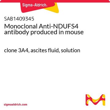 Monoclonal Anti-NDUFS4 antibody produced in mouse clone 3A4, ascites fluid, solution