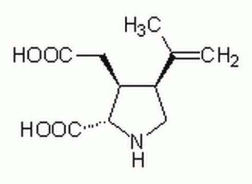 Kainic Acid An excitatory amino acid receptor agonist selective for the kainate receptor subtype (Ki = 21 nM for &#179;H-kainate binding in rat striatum).