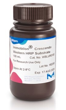 Substrat de peroxydase de raifort Immobilon&nbsp;Crescendo pour western&nbsp;blot, 100&nbsp;ml Western blotting, dot/slot blotting