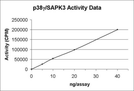 p38&#947;/SAPK3 Protein, active, 10 &#181;g Active, recombinant GST fusion protein corresponding to full length human p38&#947;/SAPK3, for use in Kinase Assays.