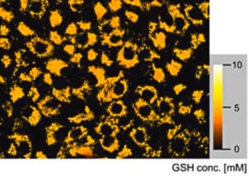 BioTracker&nbsp;625 GSH-Farbstoff, rot Live cell imaging dye for glutathione (GSH) that detects reactive oxygen species (ROS) free radicals.