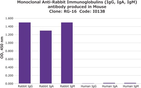 Monoclonal Anti-Rabbit Immunoglobulins (IgG, IgA, IgM) antibody produced in mouse clone RG-16, ascites fluid