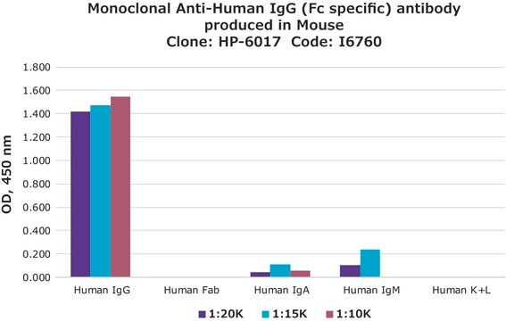 Monoclonal Anti-Human IgG (Fc specific) antibody produced in mouse clone HP-6017, ascites fluid