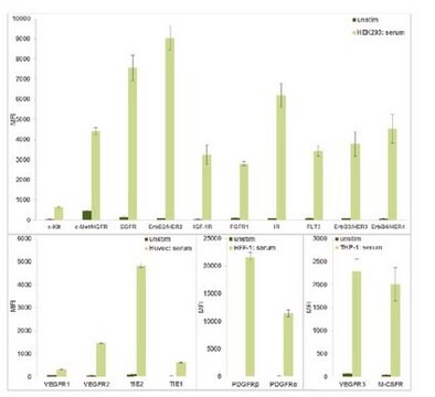 MILLIPLEX&#174; RTK Phosphoprotein Magnetic Bead Panel- Cell Signaling Multiplex Assay allows simultaneous relative quantitation of multiple proteins in tissue and cell lysate samples