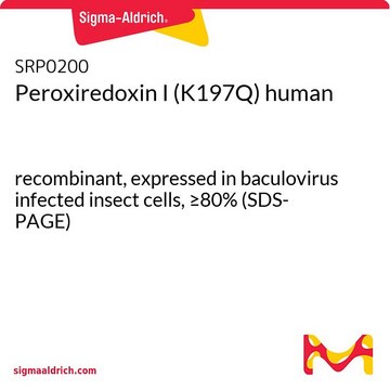 Peroxiredoxin I (K197Q) human recombinant, expressed in baculovirus infected insect cells, &#8805;80% (SDS-PAGE)