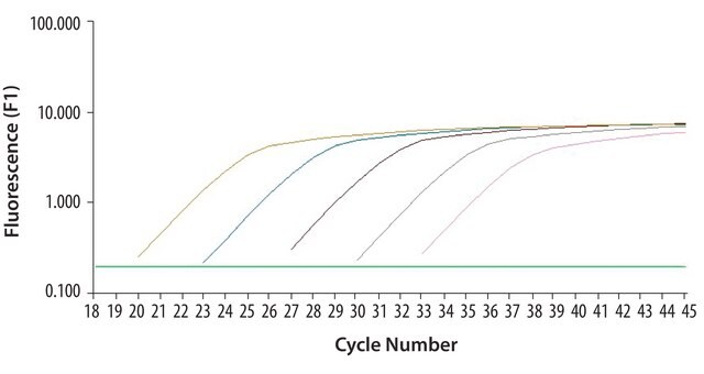 SYBR&#174; Green JumpStart&#8482; Taq ReadyMix&#8482; für quantitative PCR, Kapillarformulierung SYBR&#174; Green qPCR reagent for Roche LightCycler&#174; capillary systems