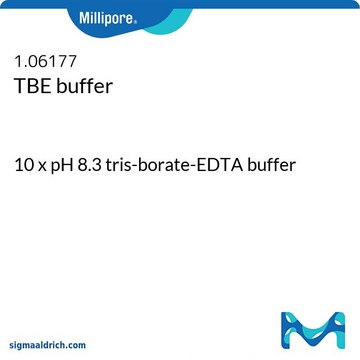 TBE缓冲液 10 x pH 8.3 tris-borate-EDTA buffer