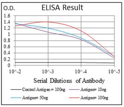 Anti-ABCG5, clone 1B5E10 Antibody clone 1B5E10, from mouse