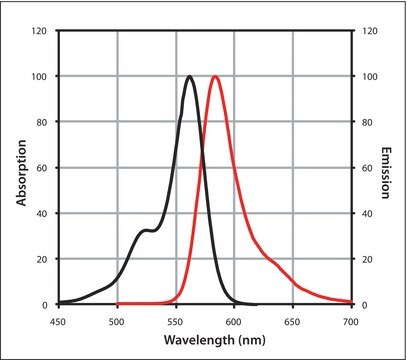 Mix-n-Stain&#8482; CF&#8482; 568 Antibody Labeling Kit (50-100&#956;g)